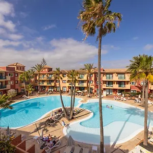 O7 Aloe *** Corralejo